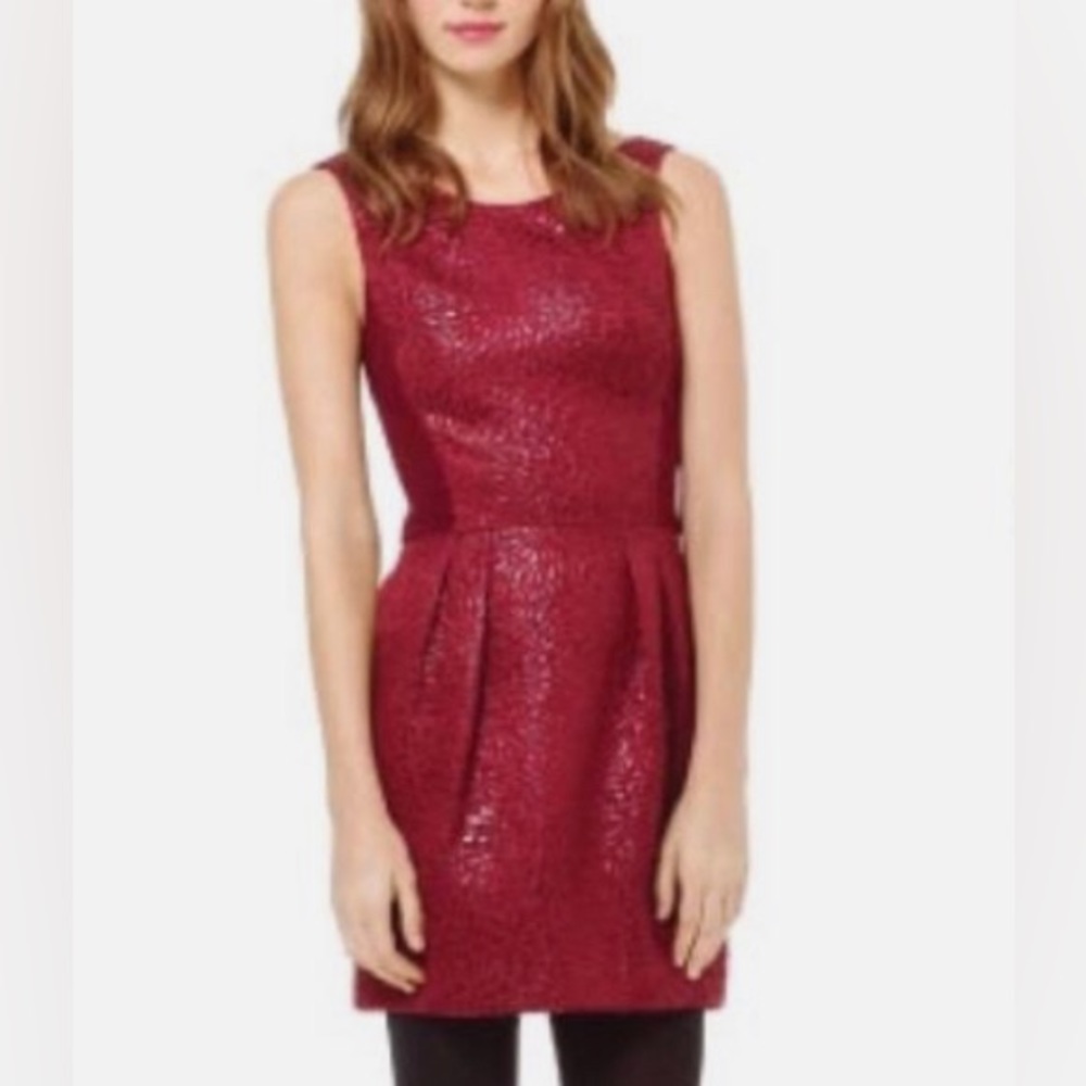 Wine color Babaton dress